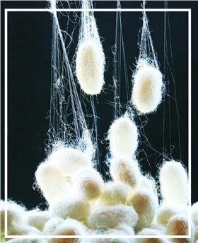 真絲圍巾的價格&mdash;&mdash;真絲圍巾、真絲絲巾、圍巾定制